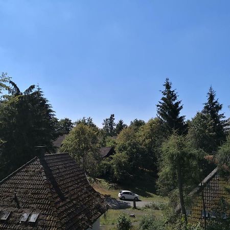Ferienwohnung Hartmann Frankenau 外观 照片