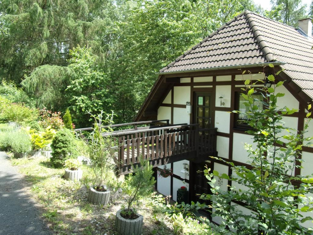 Ferienwohnung Hartmann Frankenau 外观 照片