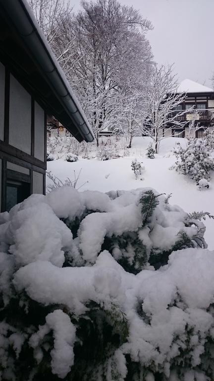 Ferienwohnung Hartmann Frankenau 外观 照片