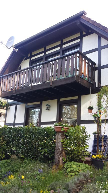 Ferienwohnung Hartmann Frankenau 外观 照片