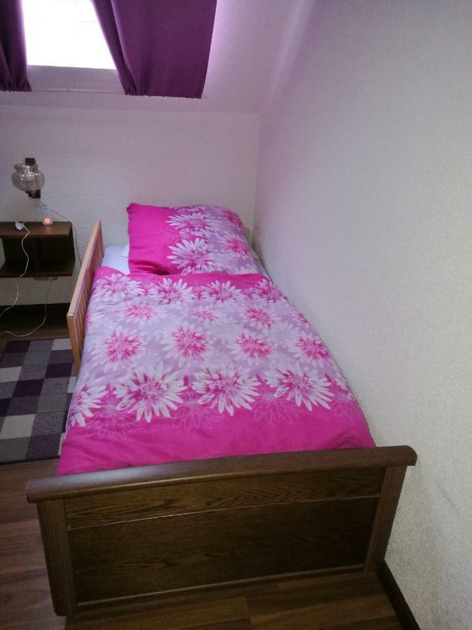Ferienwohnung Hartmann Frankenau 外观 照片