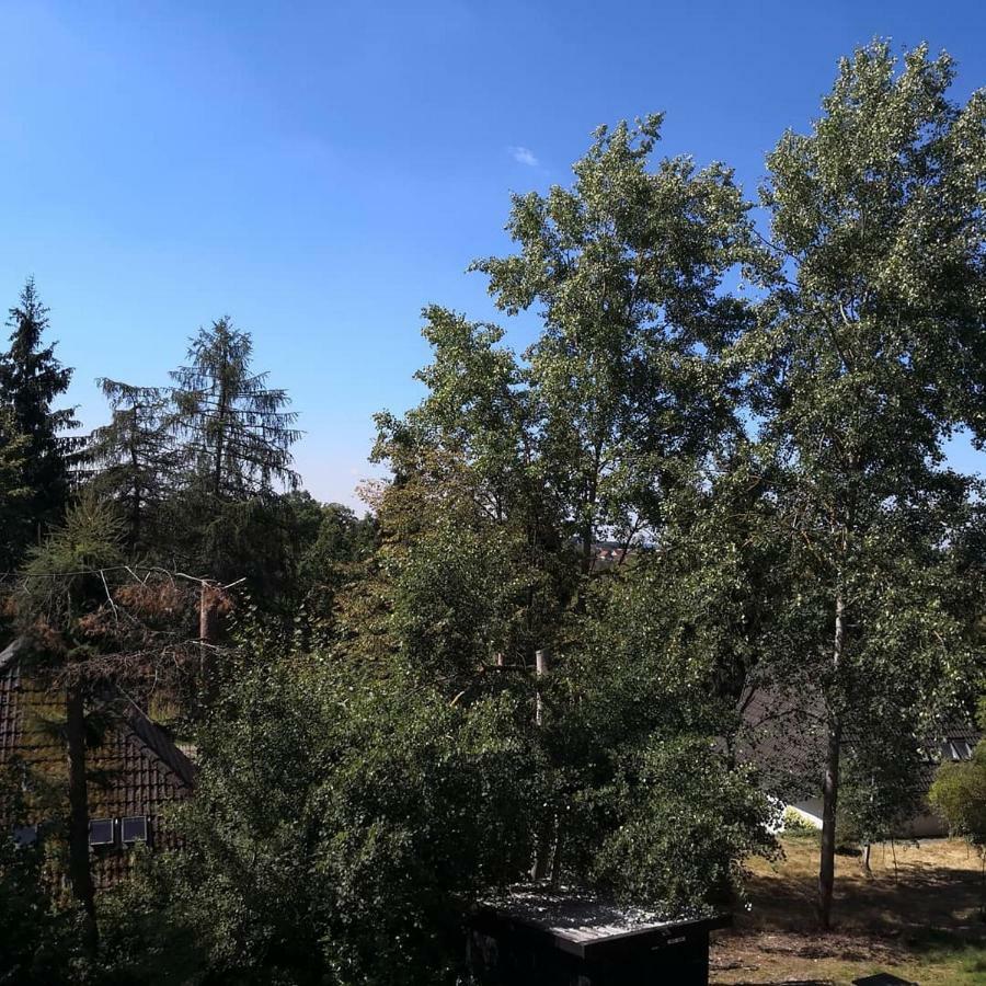 Ferienwohnung Hartmann Frankenau 外观 照片