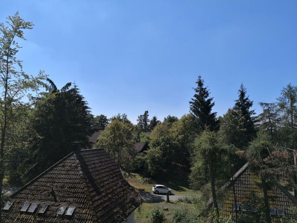 Ferienwohnung Hartmann Frankenau 外观 照片